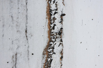 Stark abstract background showing natural fissure in white stone. texture shows detailed vertical...