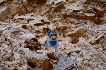 old stone wall with stone