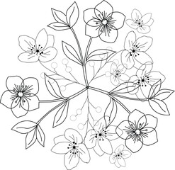Floral line art design isolated