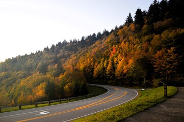 Scenic mountain road curving through autumn forest at sunrise in the Smoky Mountains