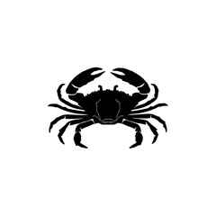 crab isolated on white background