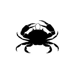 black crab isolated on white background
