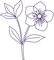 Simple flower line drawing