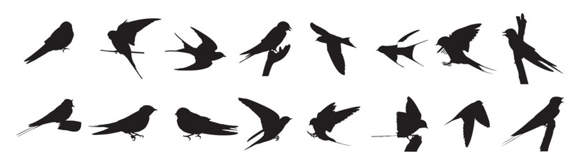 barn swallow silhouettes