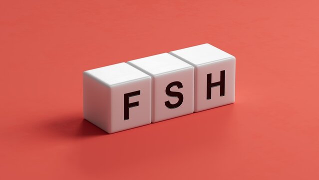 The word FSH is written on wooden cubes. Medical concept.close up of wooden cubes,Business Concept.3D rendering.