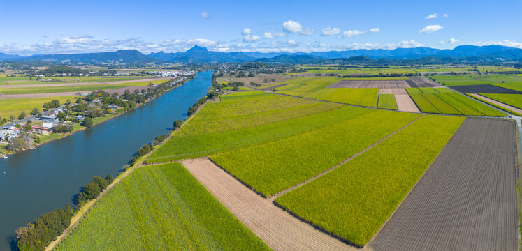 Overhead view of Cane fields near Murwillumbah, New South Wales, Australia