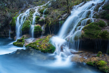 Mossy silky Cascades in the Quiet Forest