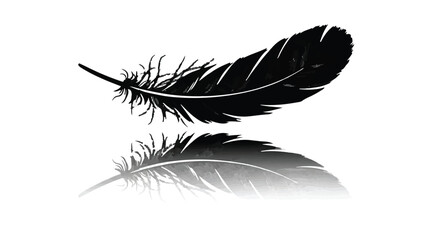 Delicate black feather floats gracefully over its soft reflection