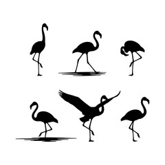 Pink Flamingo silhouette vector collection standing on one leg illustration.