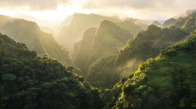 Golden sunrise illuminating misty green mountain valleys. Dramatic morning light glowing across lush steep hills. Soft mist drifting through bright sunlit forest peaks