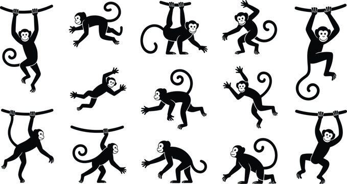 Monkey silhouette collection, playful primate poses, hanging and running monkeys, cartoon-style vector, black monkey illustrations, jungle animal movement for stock content