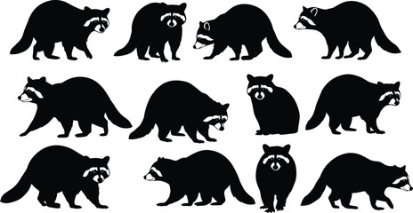PrintRaccoon silhouette vector set, wildlife animal poses, black raccoon illustrations for nature design, forest animals, and biology artwork
