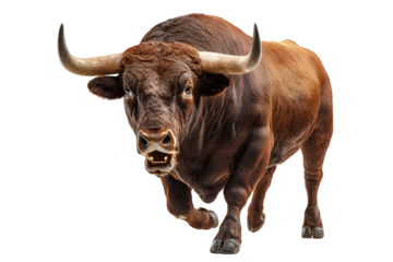 Fierce american bison charging forward isolated on transparent background