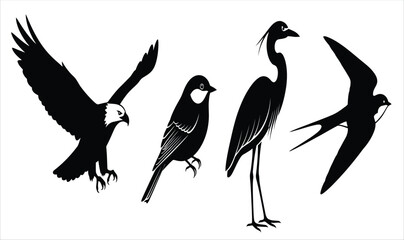 Black and white bird silhouettes eagle sparrow heron swallow