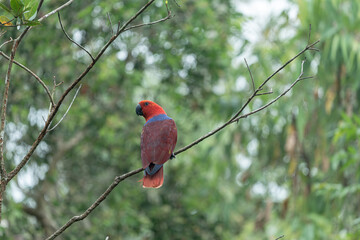 하늘을 날아다니는 새
