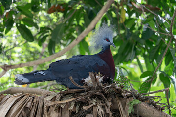 하늘을 날아다니는 새