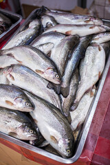 A pile of raw trout fish on a metal tray. 