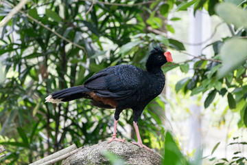 하늘을 날아다니는 새