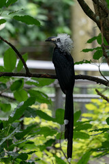 하늘을 날아다니는 새