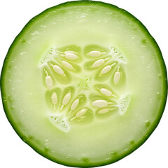 Close-up of a Freshly Cut Cucumber Slice, Showcasing Seeds and Green Flesh