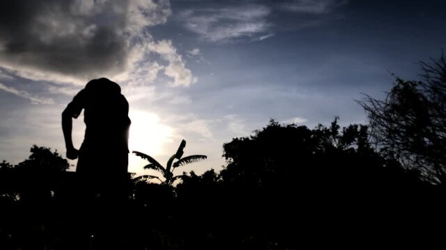 elderly farm worker is cultivating the soil manually with a hoe in the farmyard. silhouette