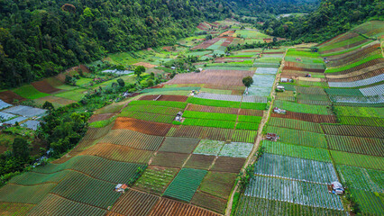 Aerial perspective of lush green farmlands with colorful crop rows, set against rolling hills and forest.