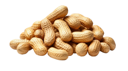 Peanuts in natural form with textured shells and rich earthy appearance arranged clearly in detailed view isolated on white background