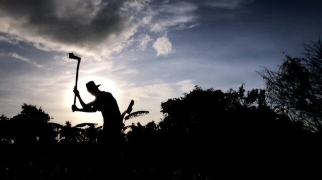 elderly farm worker is cultivating the soil manually with a hoe in the farmyard. silhouette