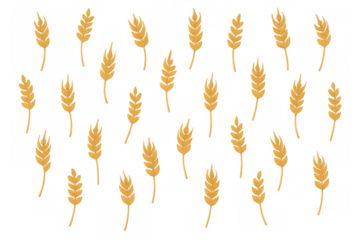 Golden wheat ears creating a seamless pattern on transparent background, symbolizing harvest and agriculture