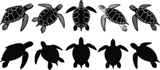 conservation, endangered species, underwater nature, ecology, swimming animals, and wildlife graphic design elements.