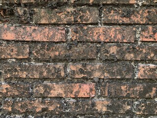 Exposed brick walls have peeling paint on the walls. This is caused by water or moisture seeping into the wall, causing further damage. This requires proper repair.