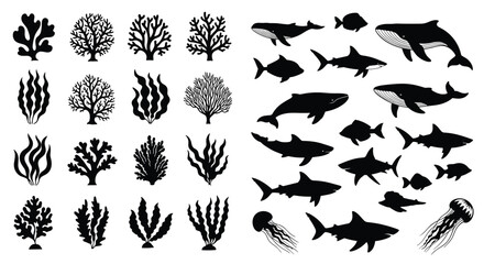 Silhouettes of diverse marine life, including coral, seaweed, kelp, whales, sharks, dolphins, fish, and jellyfish, depicting ocean, underwater ecosystem, nature, and sea fauna icons.