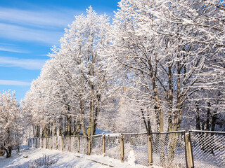 Metal fence dusted  with snow