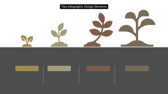 Tree Infographic Stages of Growth, Illustration for Presentation, Diagram, and Design