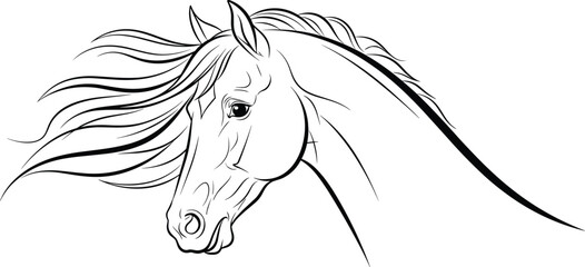 Detailed horse head line art vector illustration flowing mane outline sketch beautiful profile graceful speed power animal design equestrian racing graphic