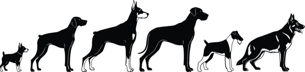 Lineup of diverse dog breeds silhouettes vector graphic, including Doberman, German Shepherd, and Great Dane, representing size and variety.