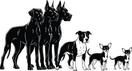 Vector illustration comparing dog breeds: Great Dane, Pitbull, and Chihuahua black and white standing profile showing size difference.