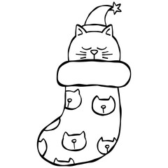 christmas Cozy cat in a festive Christmas stocking with a Santa hat.