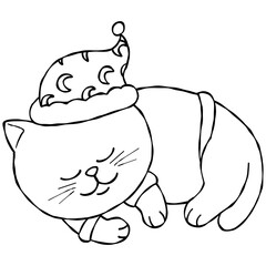 christmas Sleeping santa cat in a festive hat and outfit, looking cozy.