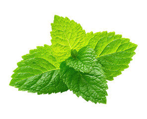 Fresh green mint leaves on a black background, vibrant and detailed