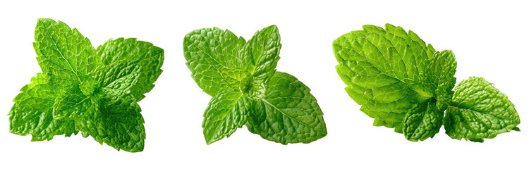 Three vibrant green mint leaves arranged diagonally on a black background