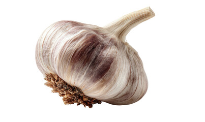A single whole head of garlic with a textured papery skin