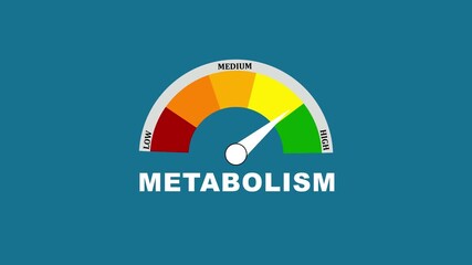 Animated metabolism rate meter decreasing from normal to low level. weight management and health awareness.