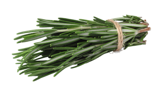 A bundle of fresh rosemary sprigs tied together with twine, showing green leaves and brown stems, lying down isolated on white