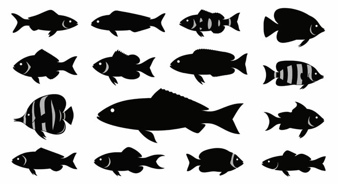 fish silhouette vector collection. Illustration vector of different kinds of Fish Silhouette. Cute graphic design of fish in ocean.