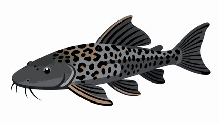 Fish illustration vector diagram