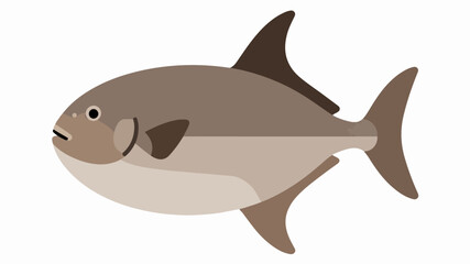 Fish illustration vector diagram