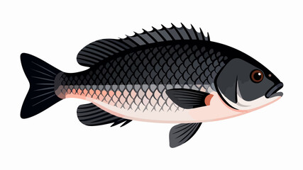 Fish illustration vector diagram