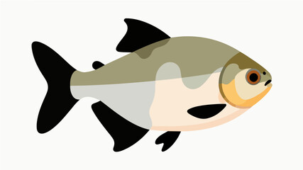 Fish illustration vector diagram
