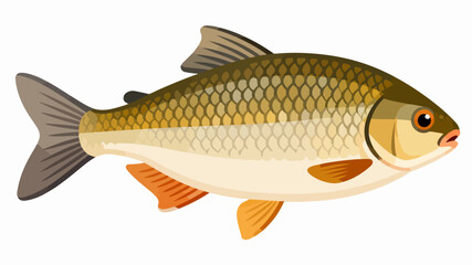 Obraz premium Fish illustration vector diagram
